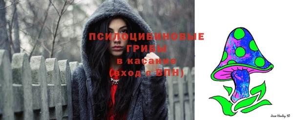 амф Дмитров