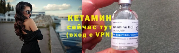 амф Дмитров