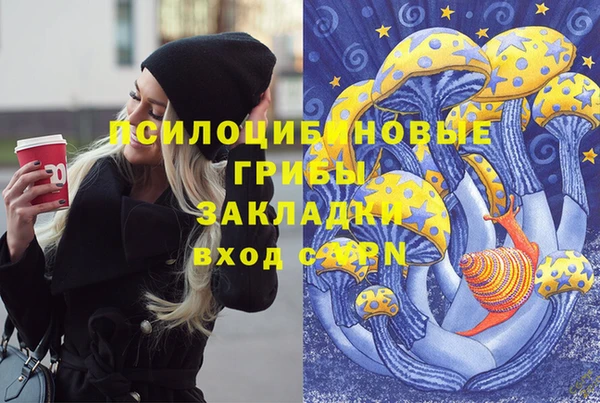 Альфа ПВП Елабуга