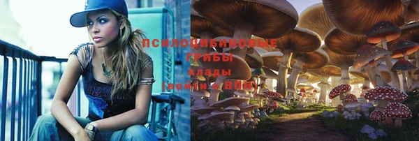 амф Дмитров